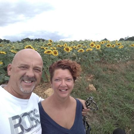 B&B Buddleja Saint-Hilaire-les-Places Buitenkant foto