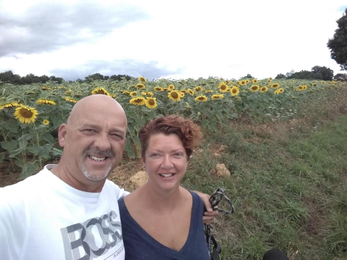 B&B Buddleja Saint-Hilaire-les-Places Buitenkant foto